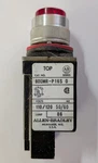 Allen-bradley 800MR-P16S Red Top Series 110/120 V 50/60 Hz. Fixed Price $19.99.