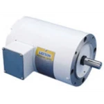 Leeson 116642.00 Ac Three Phase Washguard Motors. Fixed Price $595.30.