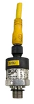 Sick Allen Bradley 6040917 Pbt 889D-F5AC-10 CB1X0SG1SSNAMA0Z Pressure Sensor. Fixed Price $165.00.